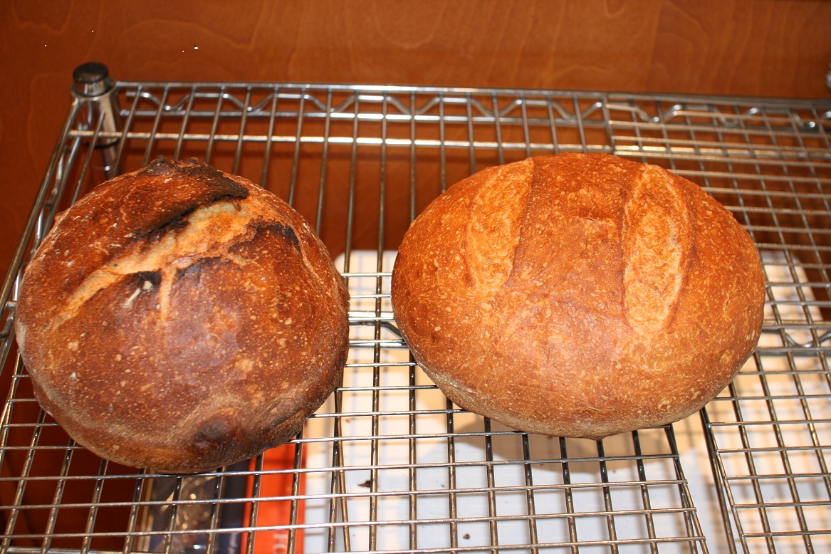 Cloche Vs. Lodge Cast Iron The Fresh Loaf